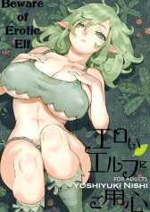 beware-of-erotic-elf