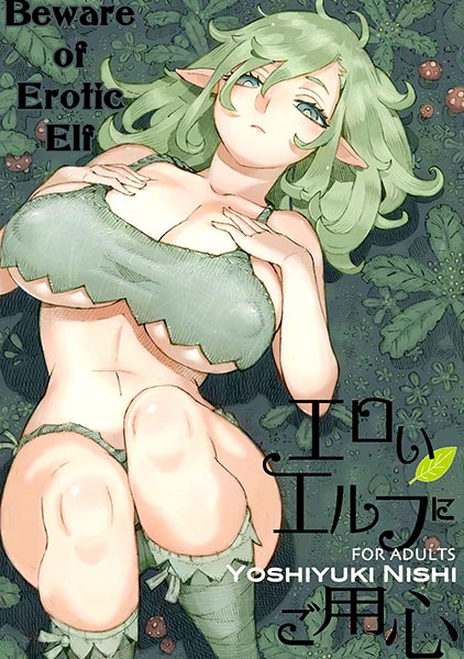 beware-of-erotic-elf